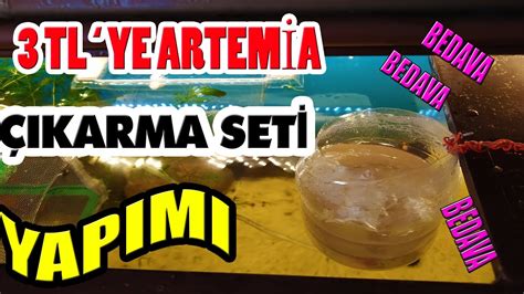 Artemia yem yapımı